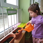 Natalia podlewa cebulkę