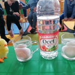 Obserwujemy jak zmienia się skorupka jajka pod wpływem octu.jpg